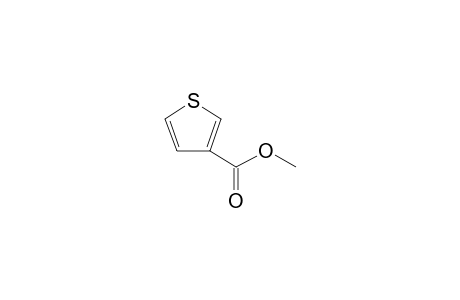 3-Methoxycarbonylthiophene