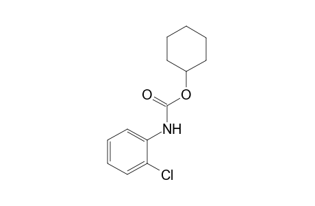 o-chlorocarbanilic acid, cyclohexyl ester
