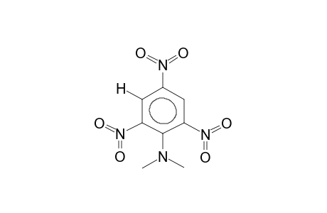 N,N-DIMETHYL-2,4,6-TRINITROANILINE
