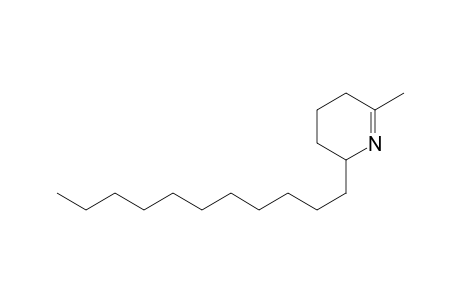 6-Methyl-2-undecyl-2,3,4,5-tetrahydropyridine