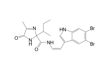 KOTTAMIDE-D