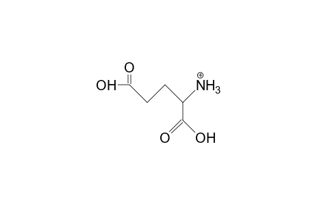L-Glutamic acid, cation