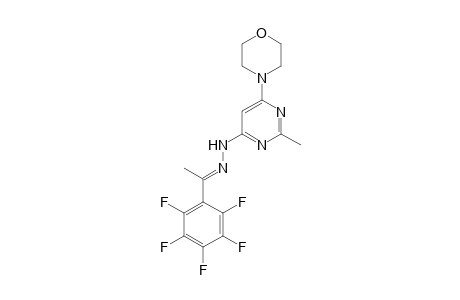 (2-methyl-6-morpholino-pyrimidin-4-yl)-[(E)-1-(2,3,4,5,6-pentafluorophenyl)ethylideneamino]amine