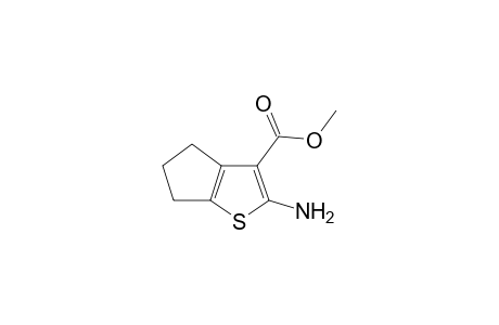 2-amino-5,6-dihydro-4H-cyclopenta[b]thiophene-3-carboxylic acid methyl ester