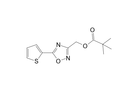 5-(2-thienyl)-1,2,4-oxadiazole-3-methanol, pivalate (ester)