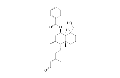 SCOPANOLAL;6-BETA-BENZOYL-9-BETA-H-15-AL-LABDA-8(17),13-DIEN-18-OL