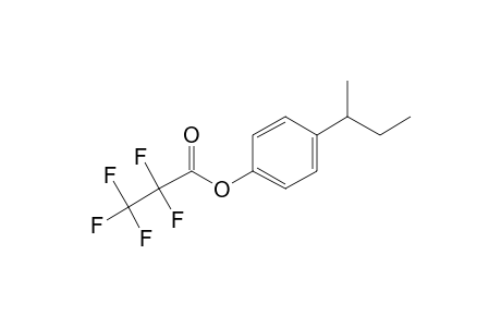 4-sec-Butylphenol, o-pentafluoropropionyl-