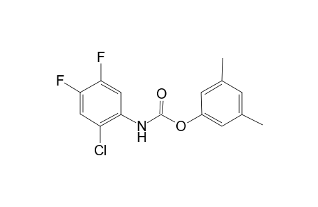 3,5-Dimethylphenyl 2-chloro-4,5-difluorophenylcarbamate