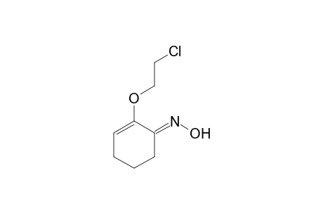 1-(2-Chloroethoxy)-6-oximinocyclohexene