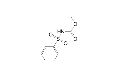 Methyl N-(benzenesulfonyl)carbamate