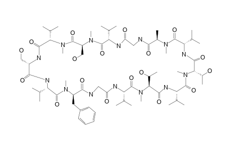 VERRUCAMIDE_D