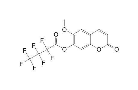 Scopoletin, o-heptafluorobutyryl-