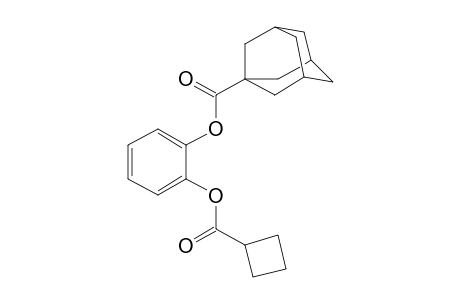 1,2-Benzenediol, o-(1-adamantancarbonyl)-o'-(cyclobutanecarbonyl)-