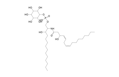 PI-Cer 14:0;2O/16:2;O