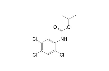 2,4,5-trichlorocarbanilic acid, isopropyl ester