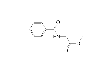 Hippuric acid methyl ester