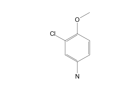 3-Chloro-4-methoxy-aniline