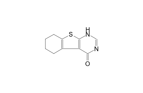 5,6,7,8-TETRAHYDRO-3H-BENZO-[4,5]-THIENO-[2,3-D]-PYRIMIDIN-4-ONE