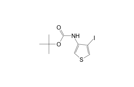 N-(4-iodo-3-thienyl)carbamic acid tert-butyl ester