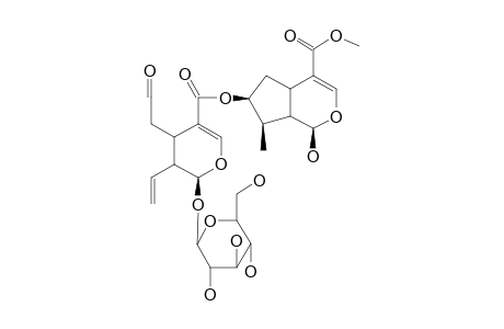 Sylvestroside iii