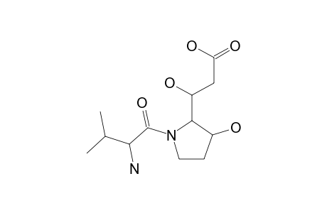 VALYL-DETOXININE