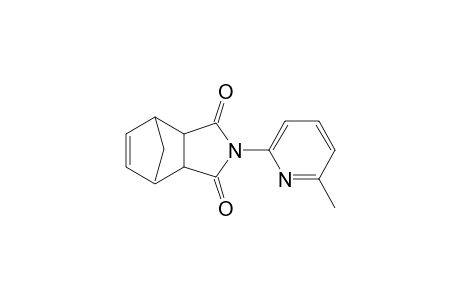 N-(6-methyl-2-pyridyl)-5-norbornene-2,3-dicarboxilide