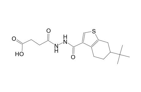 4-{2-[(6-tert-butyl-4,5,6,7-tetrahydro-1-benzothien-3-yl)carbonyl]hydrazino}-4-oxobutanoic acid