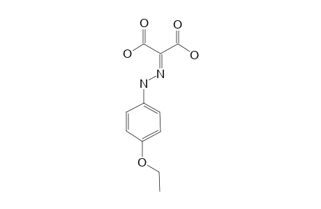 Propanedioic acid, [(4-ethoxyphenyl)hydrazono]-