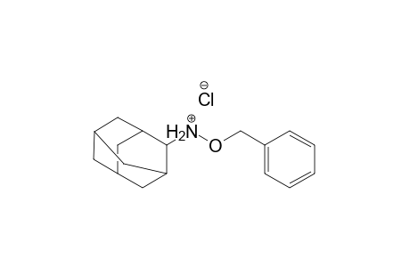 O-Benzyl-N-(2-adamantyl)hydroxyammonium chloride