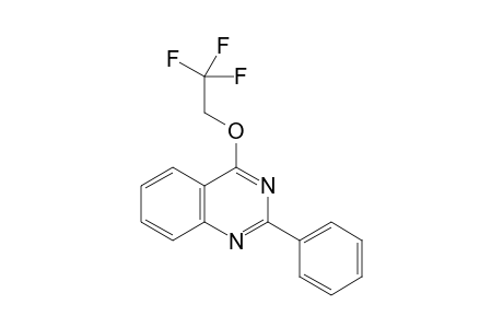 2-phenyl-4-(2,2,2-trifluoroethoxy)quinazoline