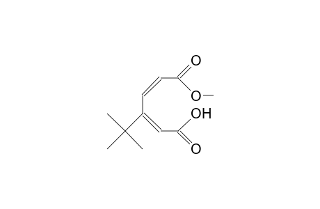 3-tert-Butyl-muconic acid, monomethyl ester