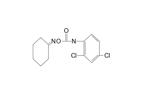 cyclohexanone, O-[(2,4-dichlorophenyl)carbamoyl]oxime