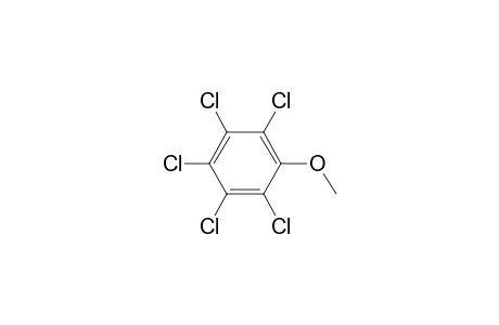 Pentachloroanisole