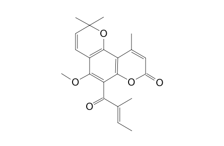 Oblongulide