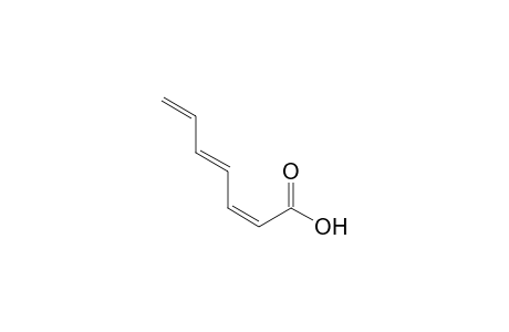 (2Z,4E)-Hepta-2,4,6-trienoic acid