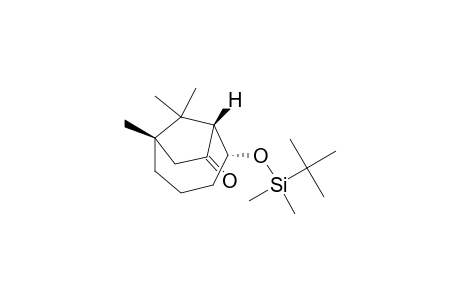 (1R,2R,6S)-2-[tert-butyl(dimethyl)silyl]oxy-6,9,9-trimethyl-8-bicyclo[4.2.1]nonanone