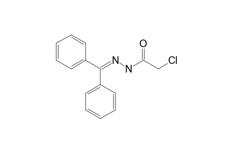 Benzophenone chloroacetylhydrazone