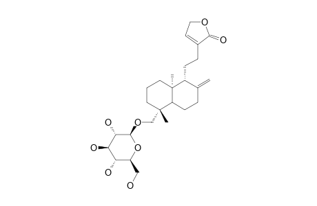 NEOANDROGRAPHOLIDE;19-BETA-D-GLUCOPYRANOSYLOXY-8(17),13-ENT-LABDADIEN-15->16-LACTONE