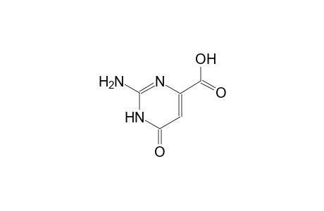 2-AMINO-6-HYDROXY-4-PYRIMIDINECARBOXYLIC ACID