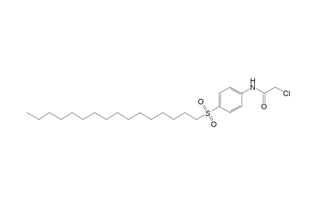 2-chloro-4'-(hexadecylsulfonyl)acetanilide
