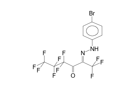 TRIFLUOROMETHYLHEPTAFLUOROPROPYLGLYOXAL, PARA-BROMOPHENYLHYDRAZONE