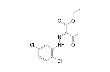 2,3-dioxobutyric acid, ethyl ester, 2-(2,5-dichlorophenyl)hydrazone