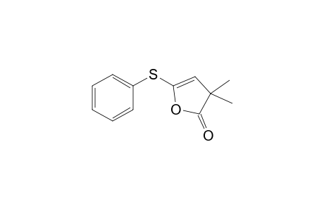 3,3-Dimethyl-5-(phenylthio)-2(3H)-furanone