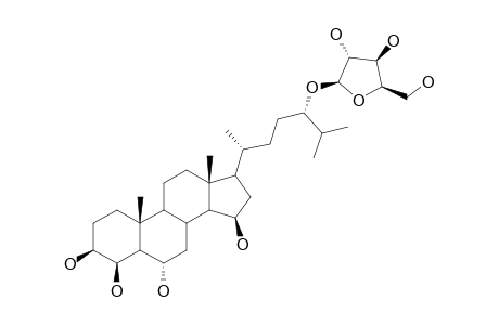 CERTONARDOSIDE-H4;(24S)-24-O-BETA-D-XYLOFURANOSYL-5-ALPHA-CHOLESTANE-3-BETA,4-BETA,6-ALPHA,15-BETA,24-PENTOL