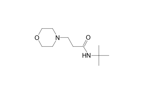 N-tert-butyl-3-morpholin-4-yl-propanamide