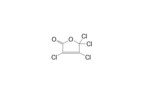 3,4,5,5-TETRACHLOR-3-OXOLEN-2-ONE