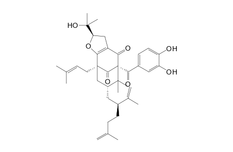 GARCINIELLIPTONE_FB;8,8-DIMETHYL-1-(3,4-DIHYDROXYBENZOYL)-3,4-[2-BETA-(2-HYDROXYISOPROPYL)-2,3-DIHYDROFURANO]-5-(GAMMA,GAMMA-DIMETHYLALLYL)-7-(2-