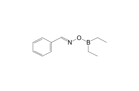 (E)-benzal(diethylboranyloxy)amine