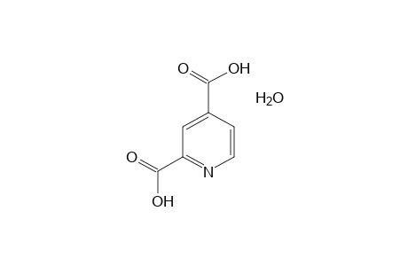 2,4-Pyridinedicarboxylic acid hydrate