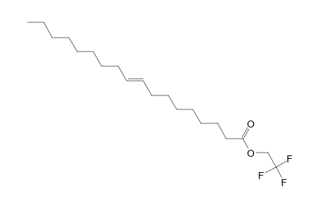 9-Octadecenoic acid, 2,2,2-trifluoroethyl ester